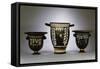 A Collection of Apulian Gnathia-Ware Bell Kraters, Circa 330-300 B.C-null-Framed Stretched Canvas