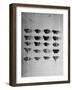 A Collection of Butterflies-India Hobson-Framed Photographic Print