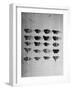 A Collection of Butterflies-India Hobson-Framed Photographic Print