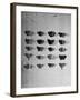 A Collection of Butterflies-India Hobson-Framed Photographic Print