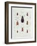 A Collection of Coleoptera Found in Chile-null-Framed Giclee Print