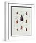 A Collection of Coleoptera Found in Chile-null-Framed Giclee Print