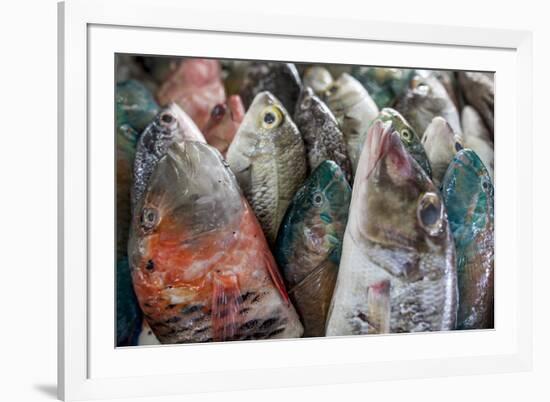 A Collection of Fish for Sale in Kudat Fish Market-James Morgan-Framed Photographic Print