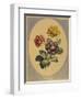 A Collection of Flowers Drawn after Nature and Disposed in an Ornamental and Picturesque Manner-John Edwards-Framed Giclee Print