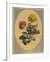 A Collection of Flowers Drawn after Nature and Disposed in an Ornamental and Picturesque Manner-John Edwards-Framed Giclee Print