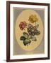 A Collection of Flowers Drawn after Nature and Disposed in an Ornamental and Picturesque Manner-John Edwards-Framed Giclee Print