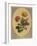 A Collection of Flowers Drawn after Nature and Disposed in an Ornamental and Picturesque Manner-John Edwards-Framed Giclee Print