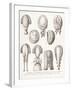 A Collection of Men's and Women's 18th Century Wigs, 1875-null-Framed Giclee Print