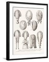 A Collection of Men's and Women's 18th Century Wigs, 1875-null-Framed Giclee Print