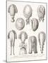 A Collection of Men's and Women's 18th Century Wigs, 1875-null-Mounted Giclee Print