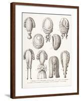 A Collection of Men's and Women's 18th Century Wigs, 1875-null-Framed Giclee Print