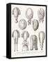 A Collection of Men's and Women's 18th Century Wigs, 1875-null-Framed Stretched Canvas