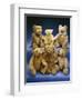 A Collection of Steiff Teddy Bears-Steiff-Framed Giclee Print