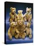 A Collection of Steiff Teddy Bears-Steiff-Stretched Canvas