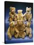 A Collection of Steiff Teddy Bears-Steiff-Stretched Canvas