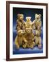 A Collection of Steiff Teddy Bears-Steiff-Framed Giclee Print