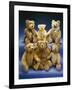 A Collection of Steiff Teddy Bears-Steiff-Framed Giclee Print