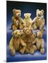 A Collection of Steiff Teddy Bears-Steiff-Mounted Giclee Print