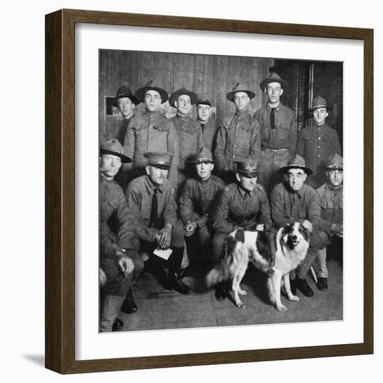 A Collie of Royal Ancestry Became the Mascot of American Sol-null-Framed Photographic Print