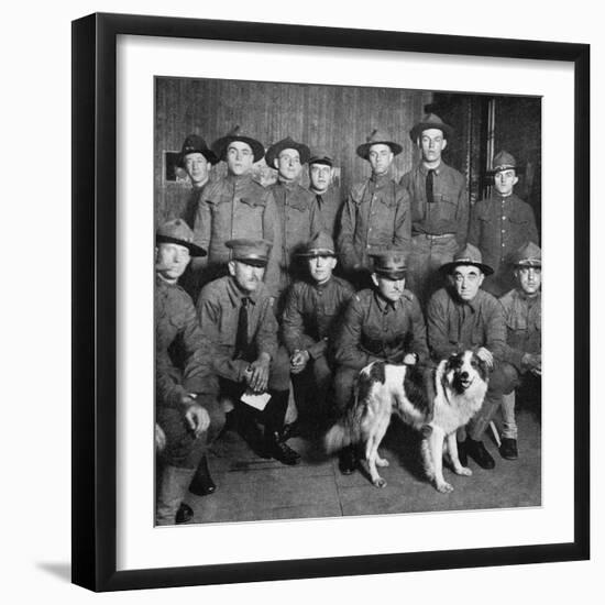 A Collie of Royal Ancestry Became the Mascot of American Sol-null-Framed Photographic Print
