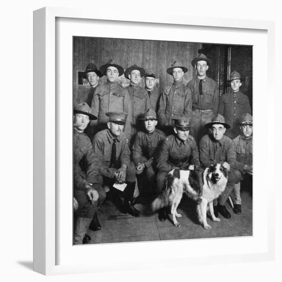 A Collie of Royal Ancestry Became the Mascot of American Sol-null-Framed Photographic Print