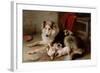 A Collie with Fox Terrier Puppies, 1913-Walter Hunt-Framed Giclee Print