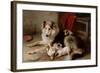 A Collie with Fox Terrier Puppies, 1913-Walter Hunt-Framed Giclee Print