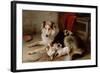 A Collie with Fox Terrier Puppies, 1913-Walter Hunt-Framed Giclee Print