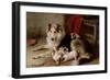 A Collie with Fox Terrier Puppies, 1913-Walter Hunt-Framed Giclee Print