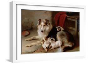 A Collie with Fox Terrier Puppies, 1913-Walter Hunt-Framed Giclee Print