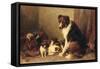 A Collie with Her Puppies (Oil on Canvas)-Otto Eerelman-Framed Stretched Canvas