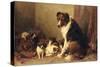 A Collie with Her Puppies (Oil on Canvas)-Otto Eerelman-Stretched Canvas