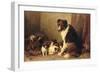 A Collie with Her Puppies (Oil on Canvas)-Otto Eerelman-Framed Giclee Print