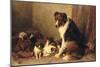 A Collie with Her Puppies (Oil on Canvas)-Otto Eerelman-Mounted Giclee Print