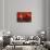 A Colony Being Established on an Alien Red Planet-null-Framed Stretched Canvas displayed on a wall