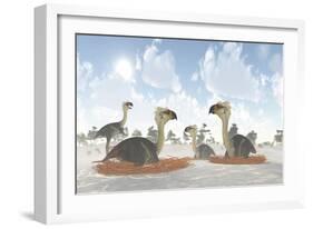 A Colony of Nesting Female Phorusrhacos During the Miocene Era-Stocktrek Images-Framed Art Print