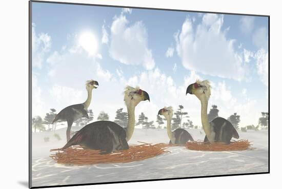 A Colony of Nesting Female Phorusrhacos During the Miocene Era-Stocktrek Images-Mounted Art Print