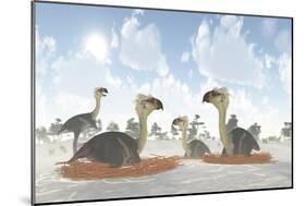 A Colony of Nesting Female Phorusrhacos During the Miocene Era-Stocktrek Images-Mounted Art Print