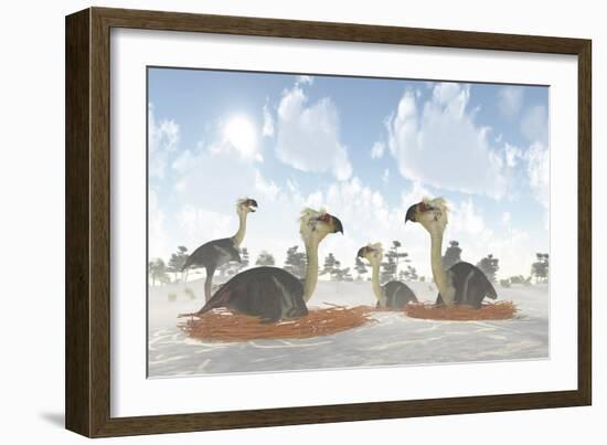 A Colony of Nesting Female Phorusrhacos During the Miocene Era-Stocktrek Images-Framed Premium Giclee Print