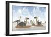 A Colony of Nesting Female Phorusrhacos During the Miocene Era-Stocktrek Images-Framed Premium Giclee Print