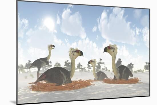 A Colony of Nesting Female Phorusrhacos During the Miocene Era-Stocktrek Images-Mounted Premium Giclee Print