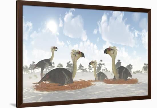 A Colony of Nesting Female Phorusrhacos During the Miocene Era-Stocktrek Images-Framed Art Print