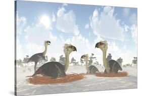 A Colony of Nesting Female Phorusrhacos During the Miocene Era-Stocktrek Images-Stretched Canvas