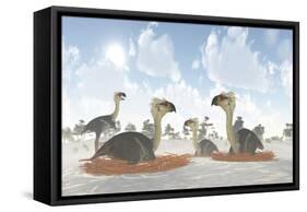 A Colony of Nesting Female Phorusrhacos During the Miocene Era-Stocktrek Images-Framed Stretched Canvas