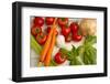 A Colorful Array of Fresh Garden Veggies Sit on a Rustic White Farm Table-Cynthia Classen-Framed Photographic Print