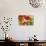 A Colorful Array of Fresh Garden Veggies Sit on a Rustic White Farm Table-Cynthia Classen-Photographic Print displayed on a wall