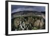 A Colorful Coral Reef Grows in Shallow Water in the Solomon Islands-Stocktrek Images-Framed Photographic Print