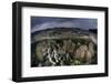 A Colorful Coral Reef Grows in Shallow Water in the Solomon Islands-Stocktrek Images-Framed Photographic Print