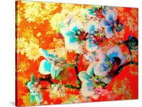 A Colorful Floral Montage-Alaya Gadeh-Stretched Canvas