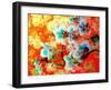 A Colorful Floral Montage-Alaya Gadeh-Framed Photographic Print